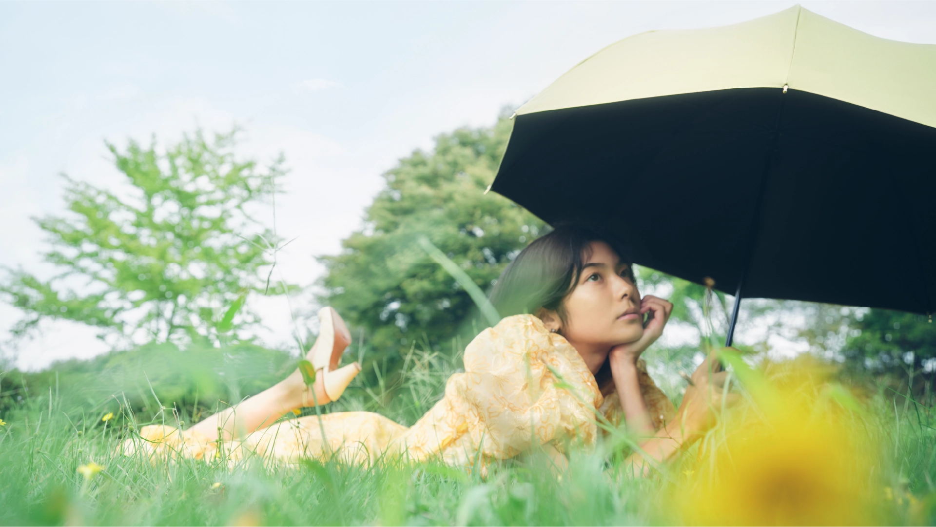 長傘L　シトロン