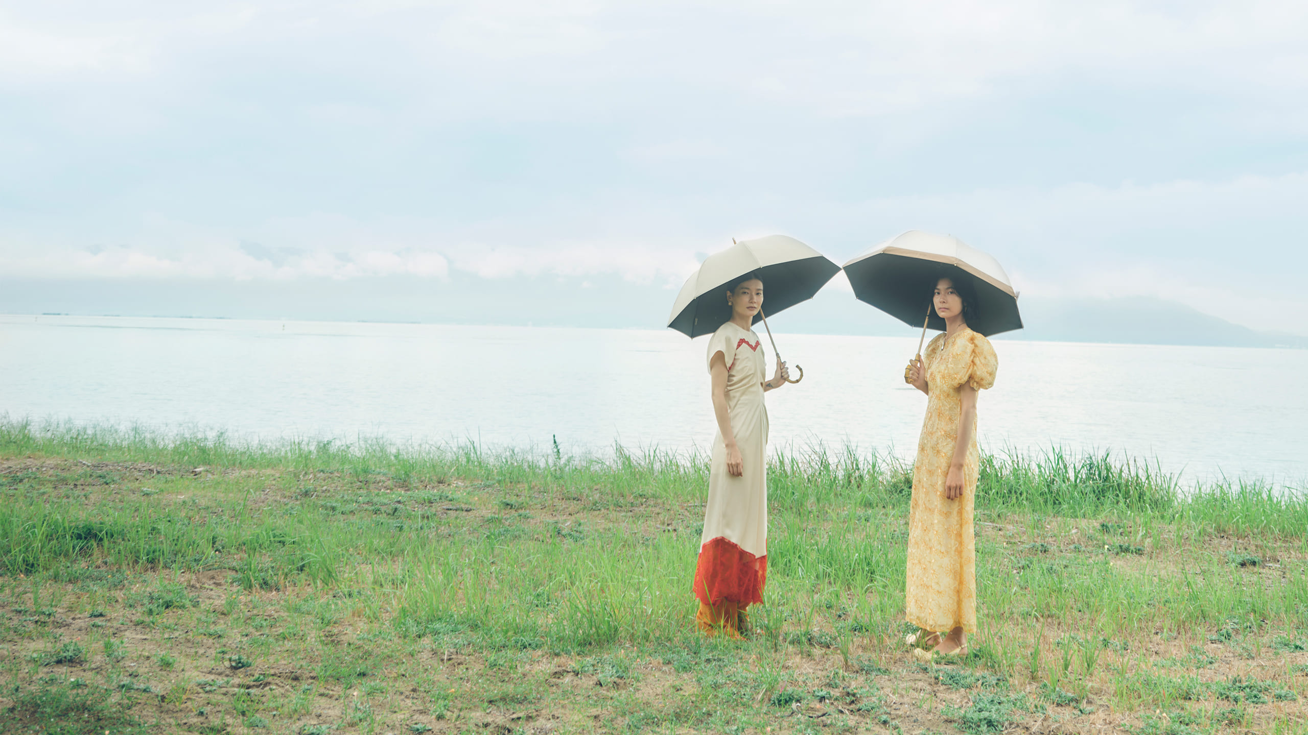 untule 2026collection